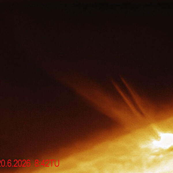 20 JUNIO 2026 — foto 2