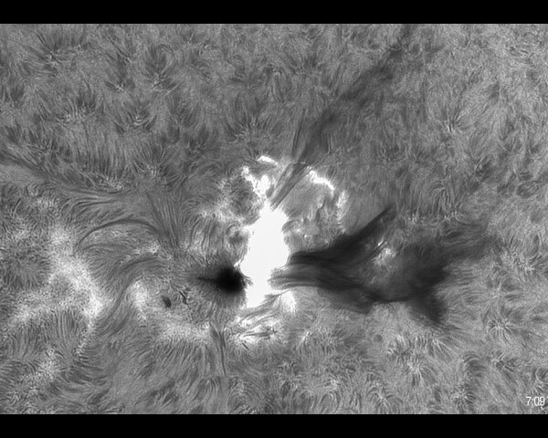 3 junio 2026 ERUPCION SOLAR M7 AR4455