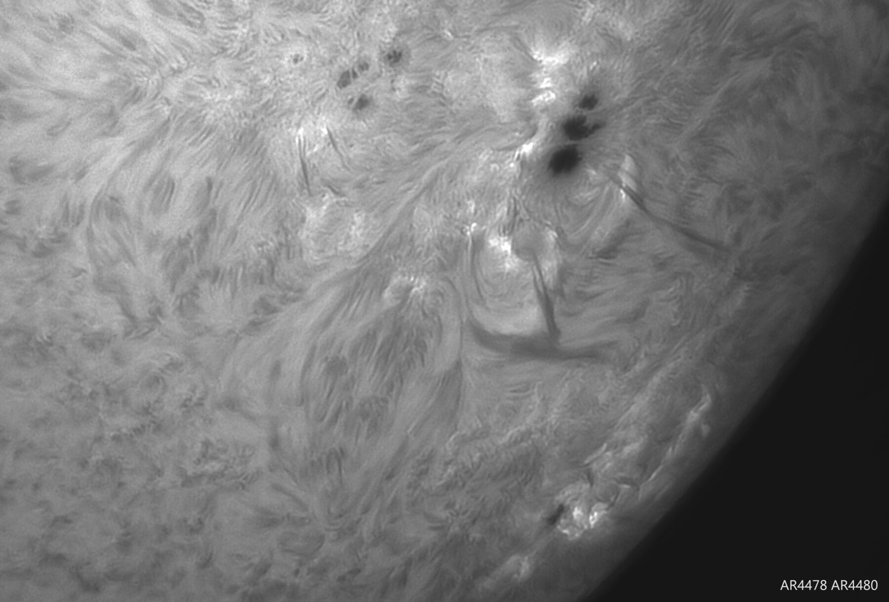 SOL 4 Julio 2026 — foto 3