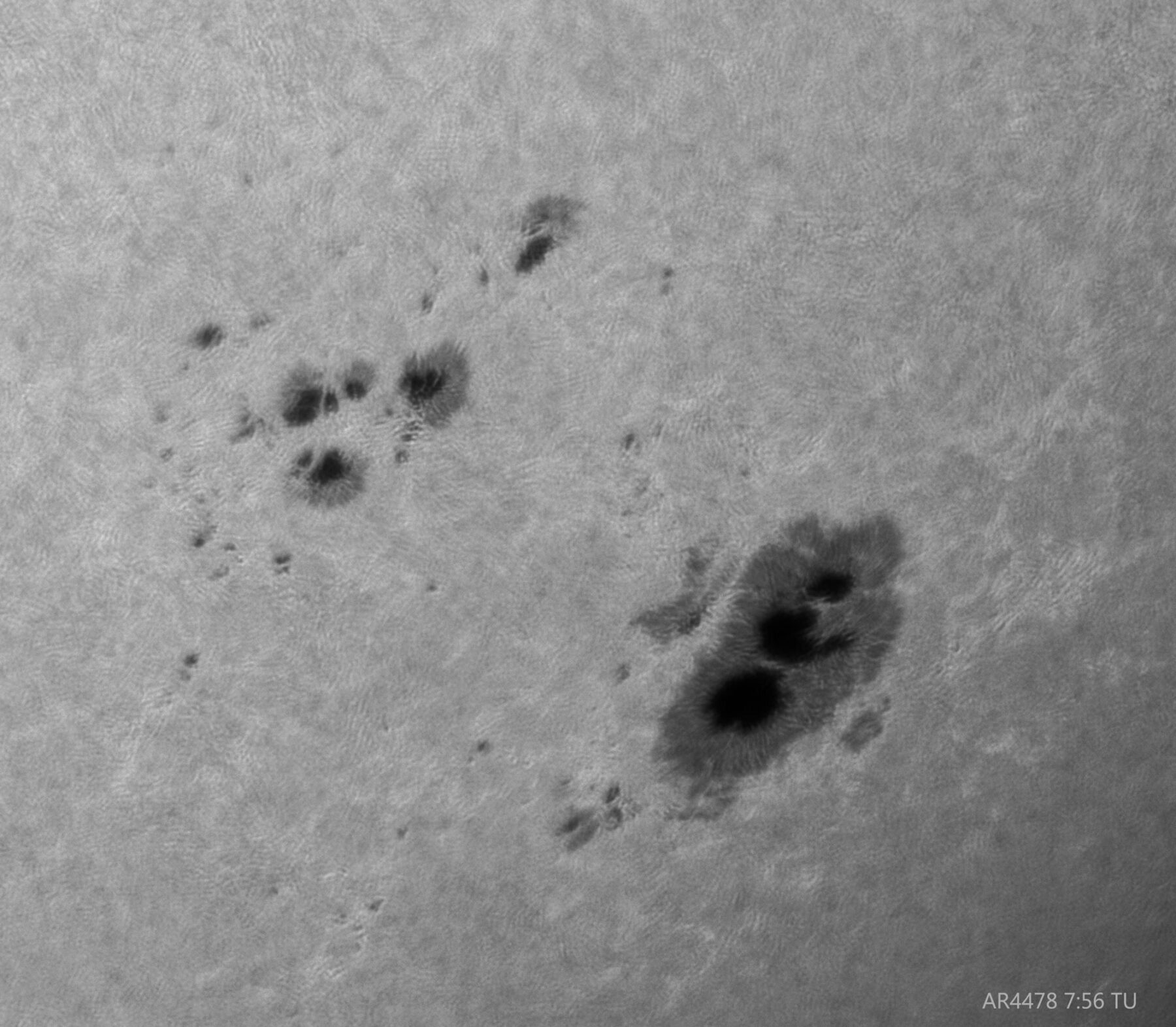 SOL 4 Julio 2026 — foto 8