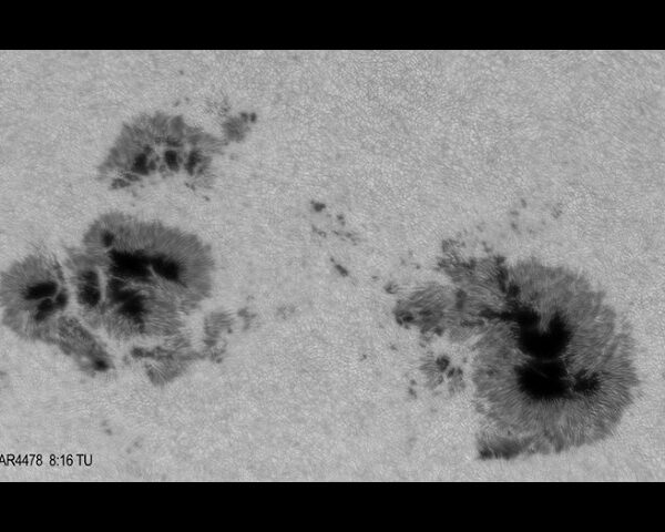 DIRECTO SOL 1 julio 2026